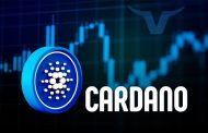 پیش بینی قیمت کاردانو تا سال ۲۰۲۶