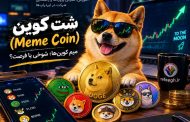 شت کوین ، آموزش تشخیص شت کوین و خطرات سرمایه‌گذاری