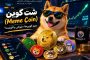 شت کوین ، آموزش تشخیص شت کوین و خطرات سرمایه‌گذاری