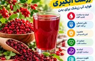 خواص درمانی زرشک آبگیری